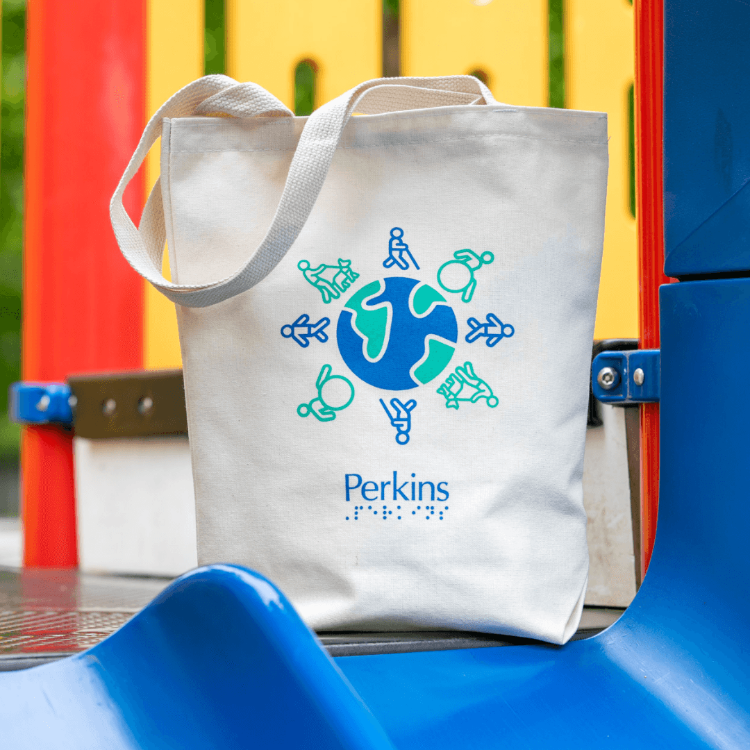 A Perkins tote bag sits at the top of a slide on a playground. It has an icon of a world with people revolving around it.
